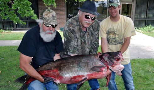 Asian carp native home